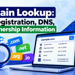 Domain Lookup: Find Registration, DNS, and Ownership Information